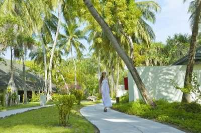 maldivi_holiday_island_superior_beach_bungalov-1
