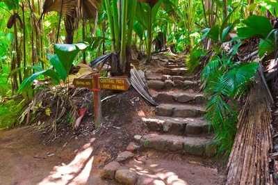 vallee-de-mai-seychelles-praslin-island