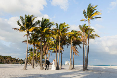 poroka_miami_crandon_park_palme